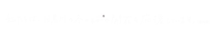 私たちは、目黒川の冬の桜®の開花を応援しています。（敬称略）